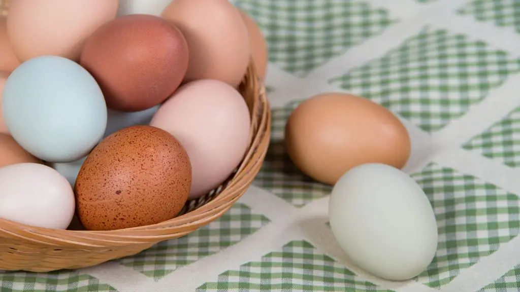 Common Myths About Chicken Egg Colors