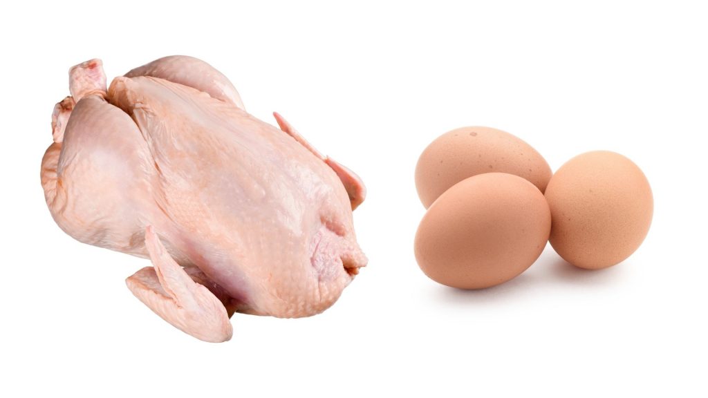 Learn How To Handle Eggs and Prepare Meat Properly