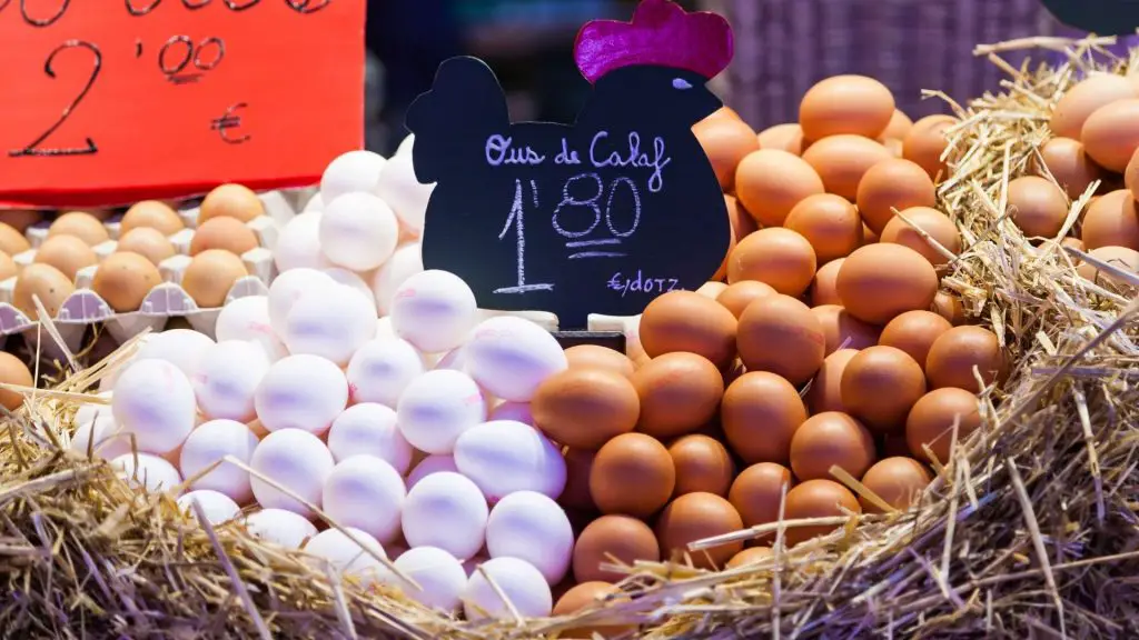 Start Selling Your Chickens’ Eggs