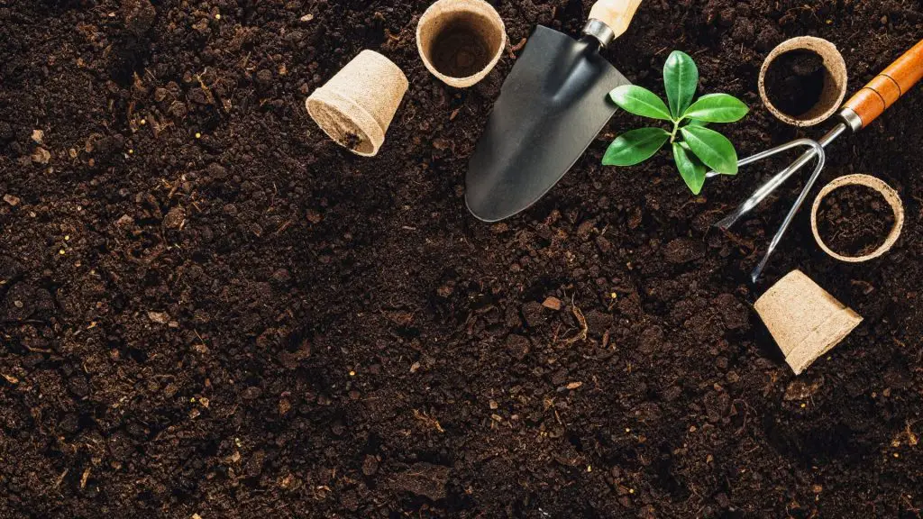 Add the Compost to Your Garden