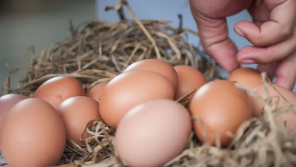 Benefits of Using a Nesting Box