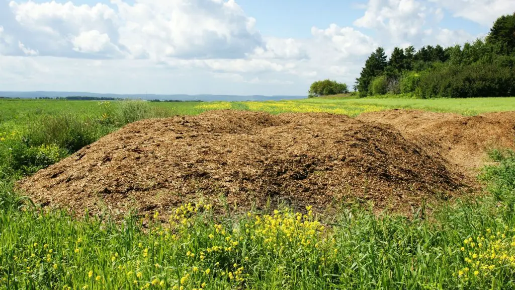 Choose Your Composting Method