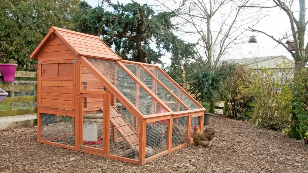How To Decorate a Chicken Coop