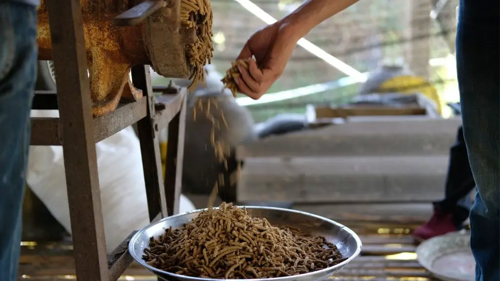 How To Make Chicken Feed Pellets