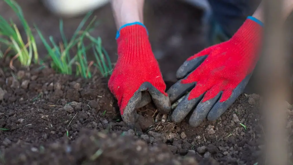 Safety Tips When Handling Manure