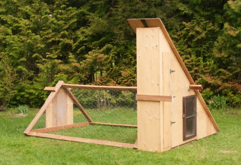 How to Make a Chicken Coop