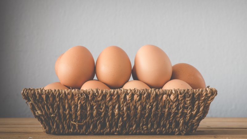 What To Do if Your Eggs Are Not Hatching