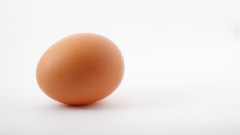 How Big Are Brahma Chicken Eggs