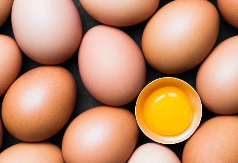What Causes Blood Spots in Chicken Eggs Information and Facts