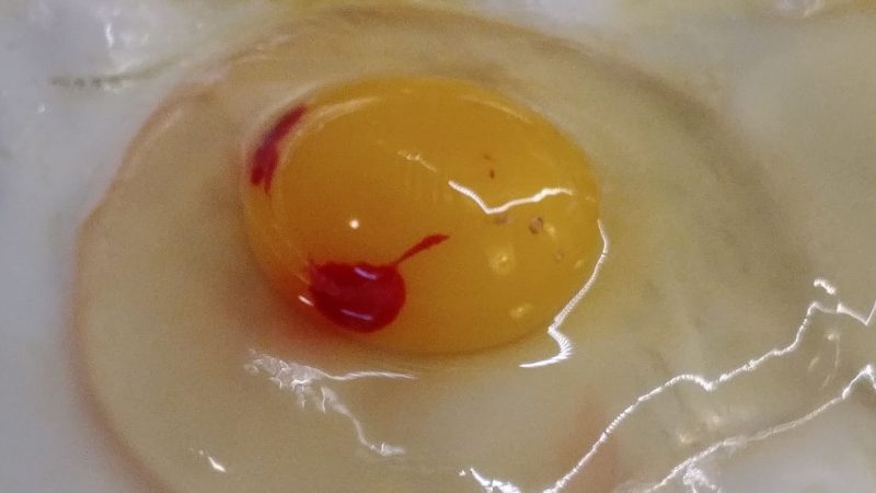 What Does Blood in a Chicken Egg Mean