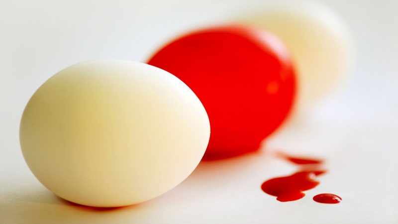 What Does Blood on a Chicken Egg Mean