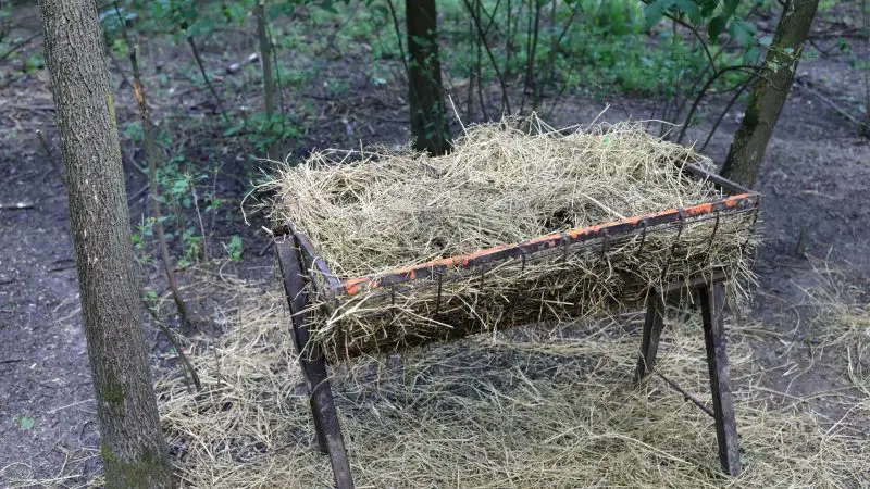 What are the Types of Hay Feeders for Goats and Sheep