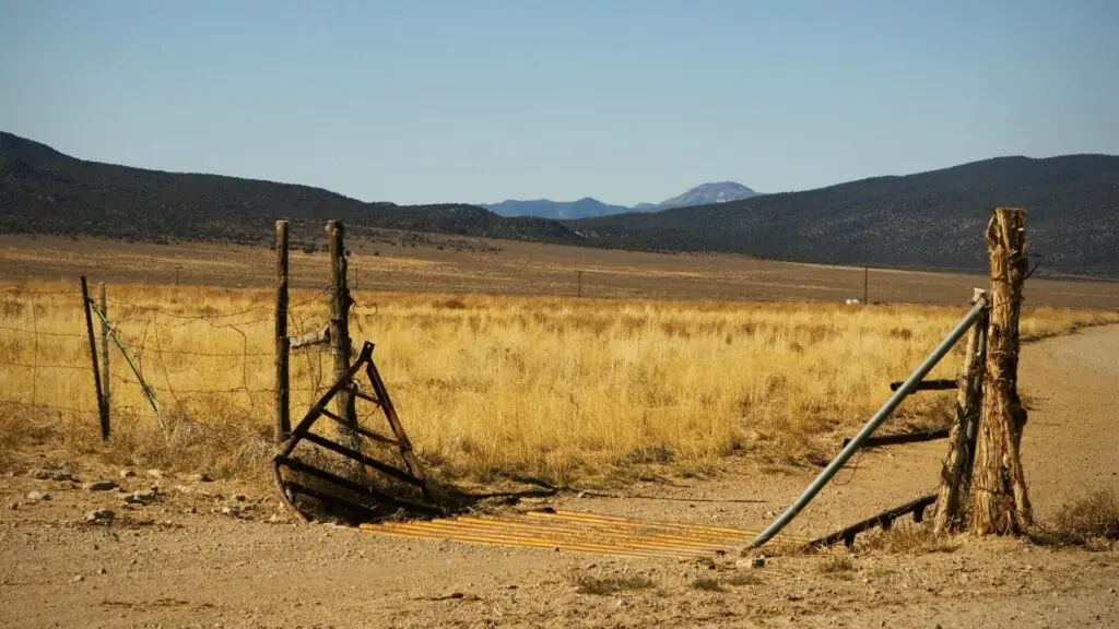 Are Cattle Guards Safe