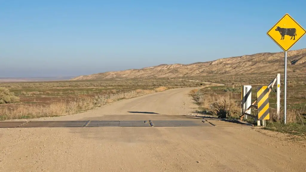 Can Goats Cross Cattle Guards