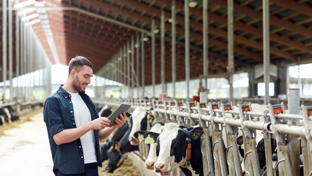 How Much Do Dairy Farmers Actually Make