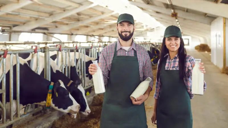 What are the Best States For Dairy Farmers to Earn Money