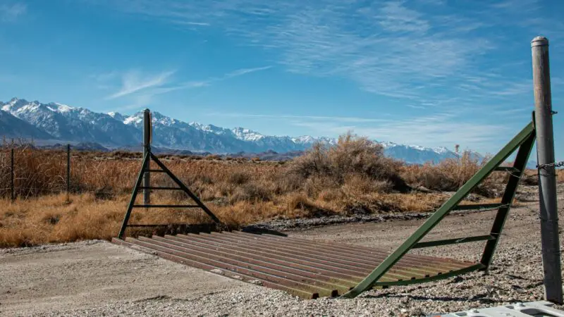 What is the Purpose of a Cattle Guard