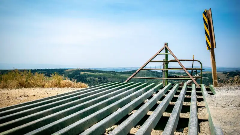 Will a Horse Walk Over a Cattle Guard