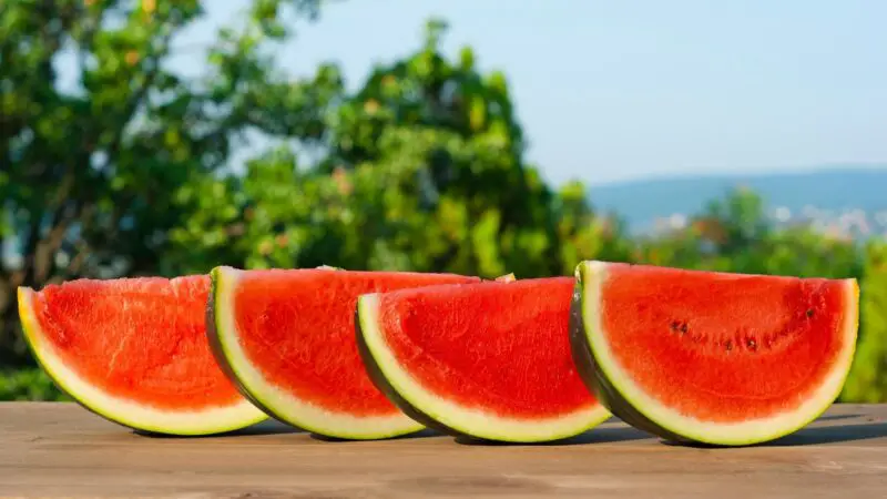 Can You Feed Goats Watermelon-Flavored Foods