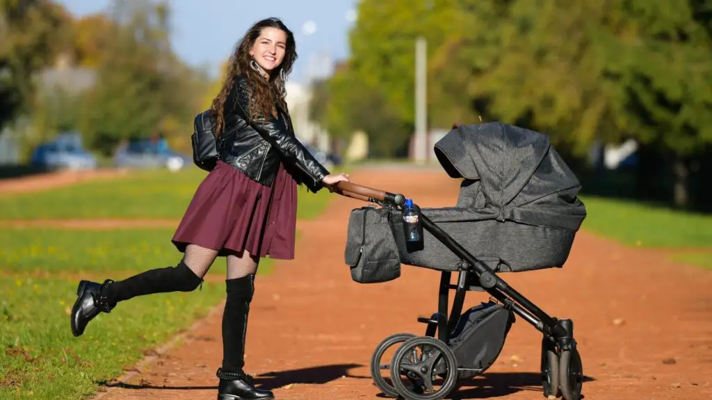 What Does a Chicken Stroller Look Like