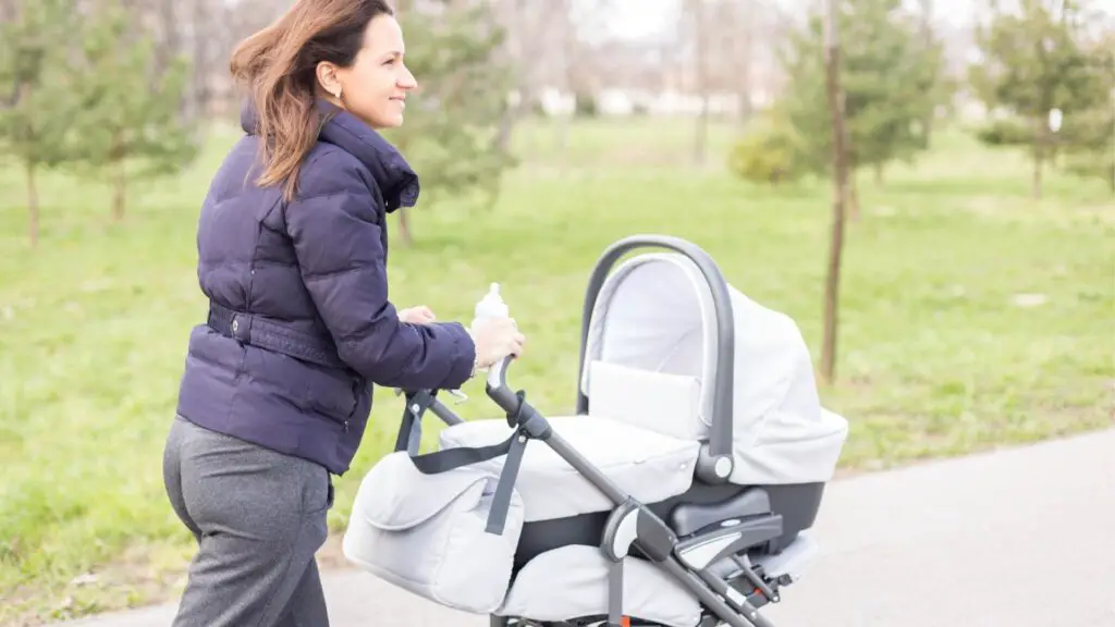 What Is the Main Purpose of Chicken Strollers