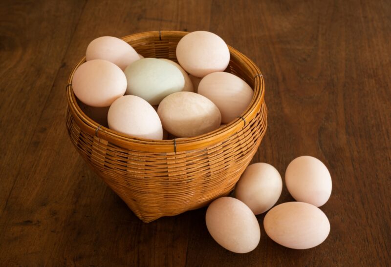 All About Duck Eggs