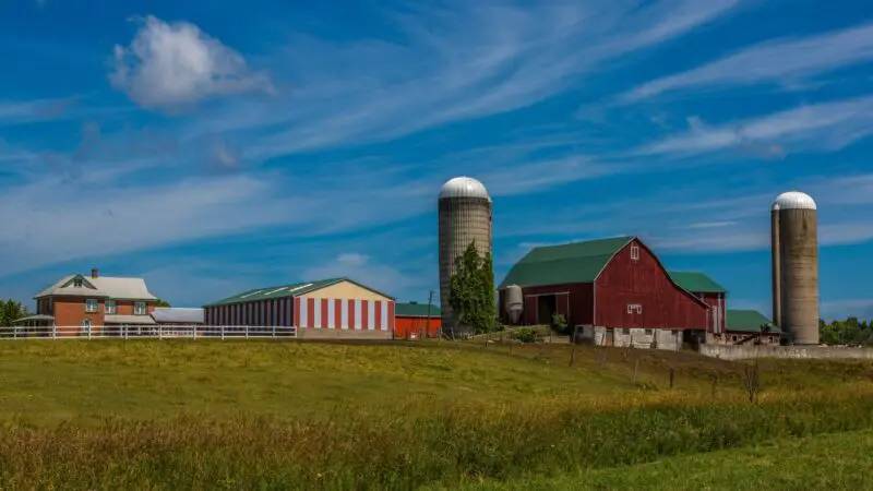 Catchy Farm Names