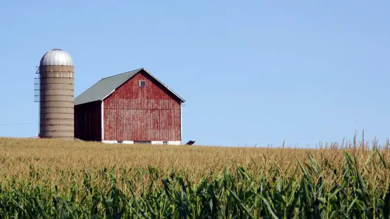 Country Farm Names