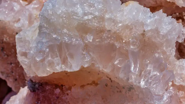 What Minerals Do Goats Need | Ensuring Optimal Nutrition and Health ...