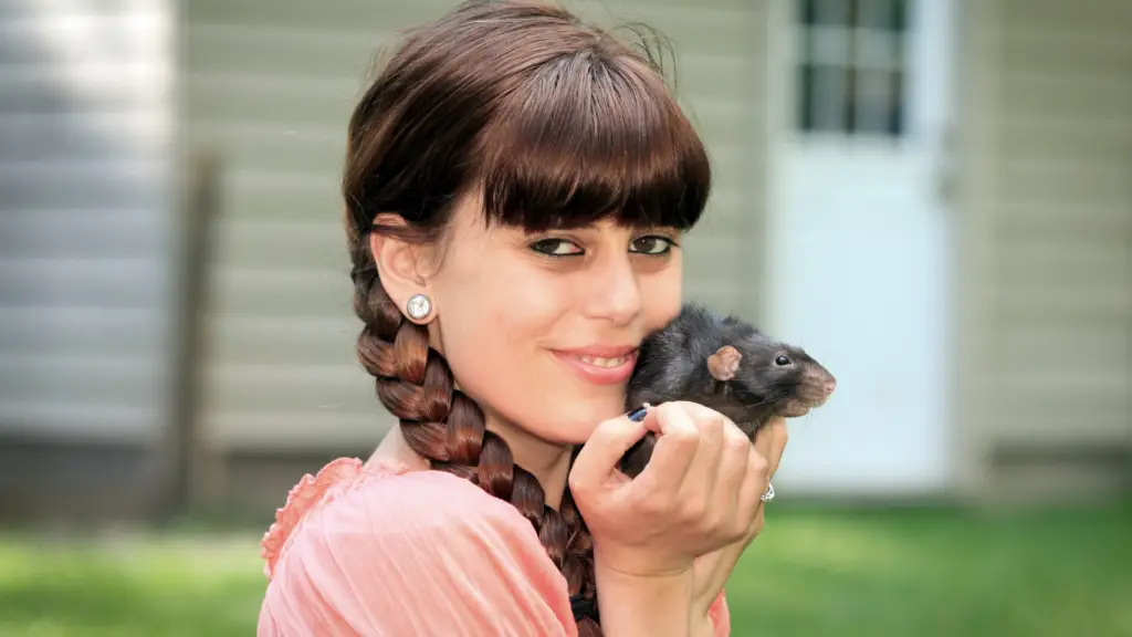 Do Pet Rats Like Being Held