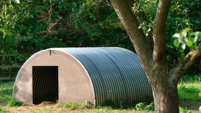 Pig Shelter