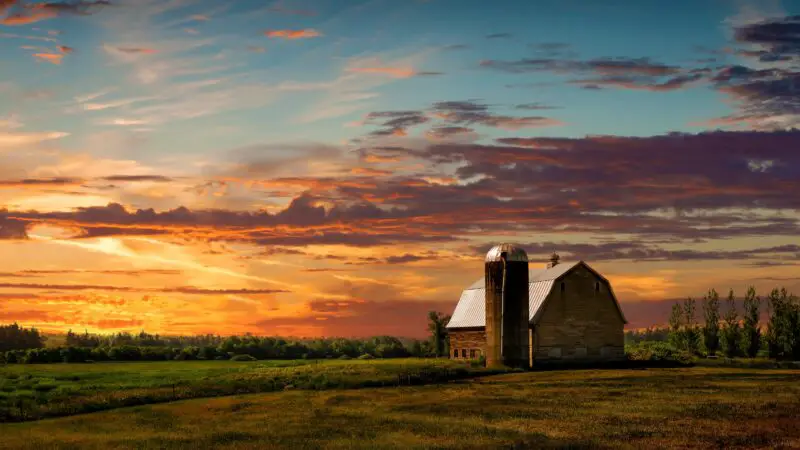 What Makes a Farm Name Catchy